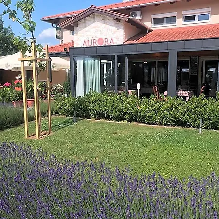 Nocleg ze śniadaniem Aurora Panzio 4*