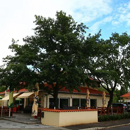 Aurora Panzio Bük